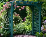 Pergola na róże DIY: Zbuduj ją krok po kroku i zachwyć ogród!