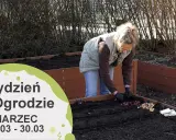 Marzec w ogrodzie: Kluczowe prace dla obfitych plonów i pięknych kwiatów