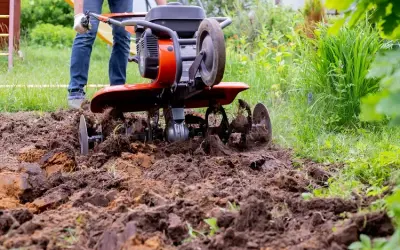 Glebogryzarka spalinowa: Jak wybrać idealną? Poradnik eksperta