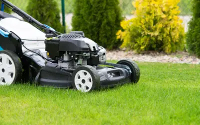 Moc kosiarki: Jak wybrać idealną do trawnika? Poradnik eksperta