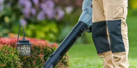 Osoba w zielonych rękawiczkach trzyma dmuchawę do liści w ogrodzie.