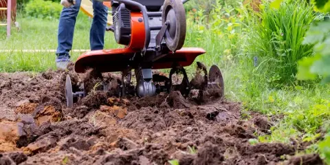 Glebogryzarka spalinowa: Jak wybrać idealną? Poradnik eksperta