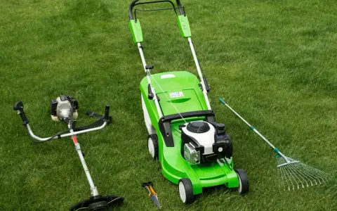 Kosiarka spalinowa do 1500 zł: TOP modele, na co uważać?