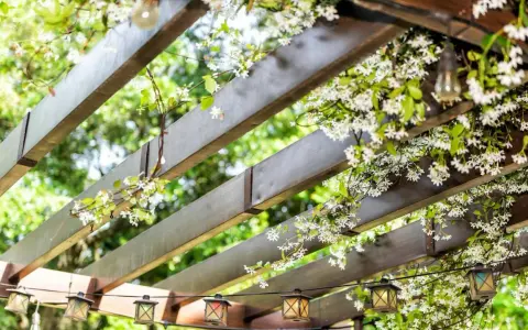 Drewniana pergola z kwitnącym jaśminem i lampkami w stylu lampionów.