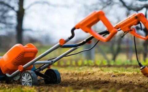 Glebogryzarka elektryczna: Jak pracować bezpiecznie i efektywnie?