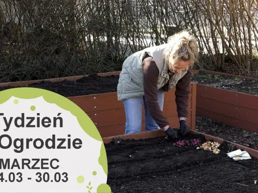 Marzec w ogrodzie: Kluczowe prace dla obfitych plonów i pięknych kwiatów