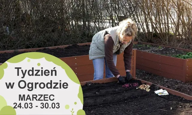 Marzec w ogrodzie: Kluczowe prace dla obfitych plonów i pięknych kwiatów