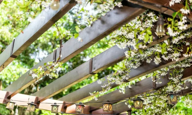 Drewniana pergola z kwitnącym jaśminem i lampkami w stylu lampionów.
